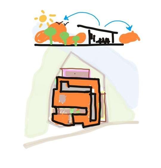 Picture8