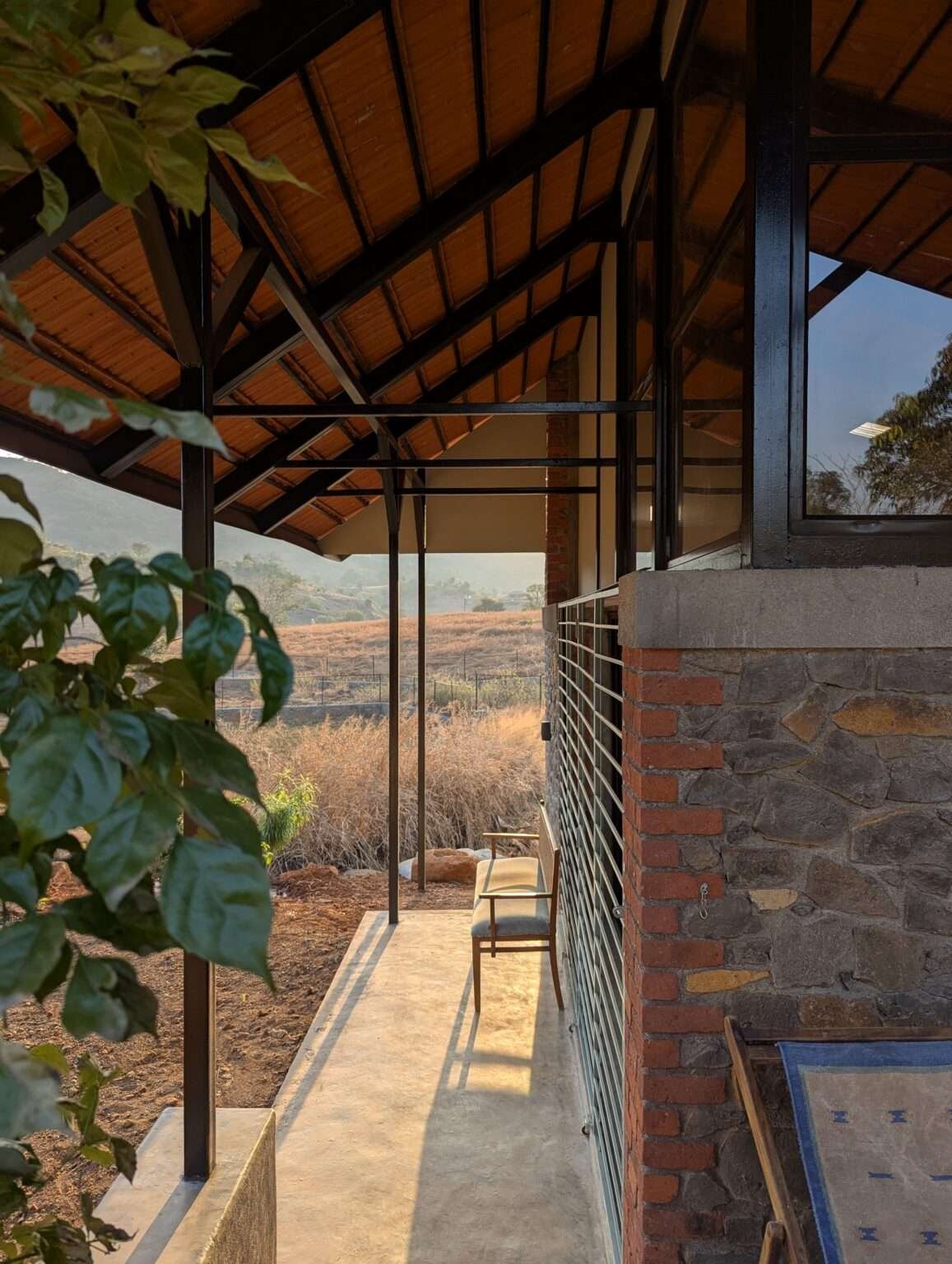 PXL_20250125_120934934.MP