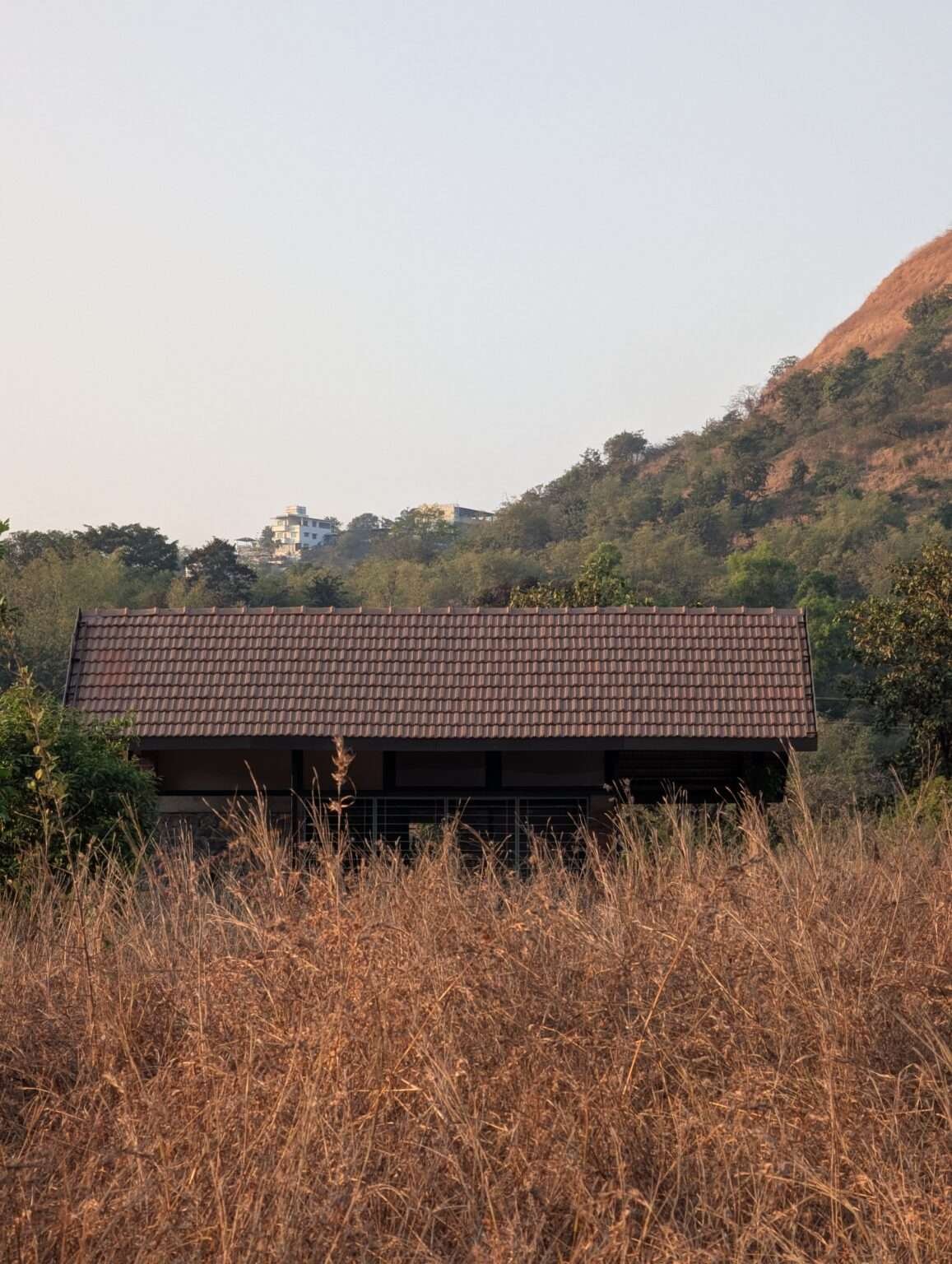 PXL_20250125_121603567